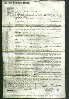 Court of Common Pleas - Right Honorable Mary Elizabeth Lady Vivian-Original Ancestry
