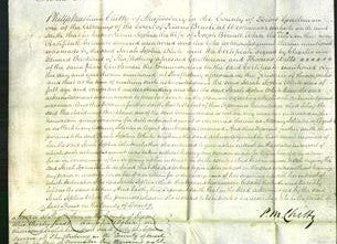 Court of Common Pleas - Sarah Sophia White-Original Ancestry