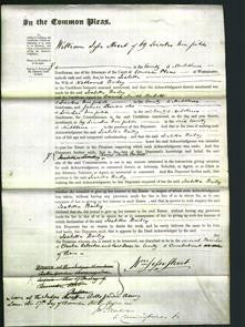 Court of Common Pleas - Isabella Bailey-Original Ancestry