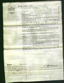 Court of Common Pleas - Susan Wilkinson-Original Ancestry