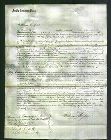 Court of Common Pleas - Sarah Morris Jones-Original Ancestry