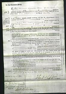 Court of Common Pleas - Mary Dobson-Original Ancestry