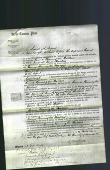 Court of Common Pleas - Emma Pennington Hallows-Original Ancestry