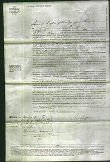 Court of Common Pleas - Honorable Maria West-Original Ancestry