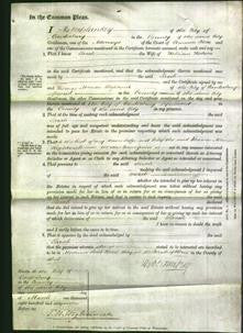 Court of Common Pleas - Sarah Watson-Original Ancestry