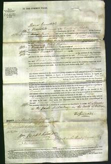 Court of Common Pleas - Frances Brownlow-Original Ancestry