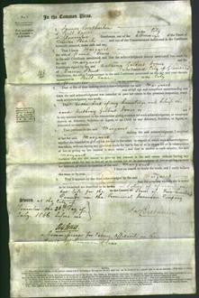 Court of Common Pleas - Margaret Lewis-Original Ancestry