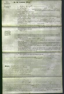 Court of Common Pleas - Ellen Gornall-Original Ancestry