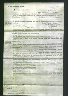 Court of Common Pleas - Mary Copland-Original Ancestry