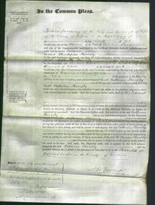 Court of Common Pleas - Catherine Barroby-Original Ancestry