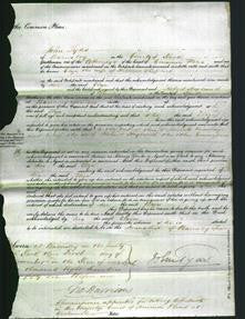 Court of Common Pleas - Eliza Shepherd-Original Ancestry