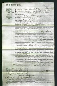Court of Common Pleas - Eliza Mary Harding-Original Ancestry