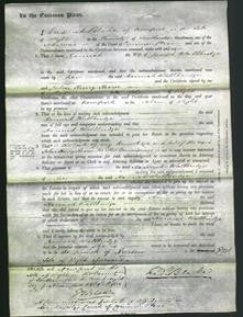 Court of Common Pleas - Hannah Wallbridge-Original Ancestry