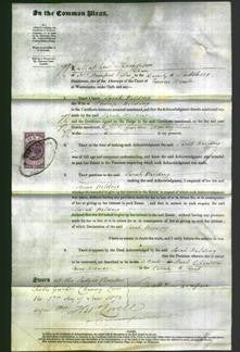 Court of Common Pleas - Sarah Carter Wilding-Original Ancestry