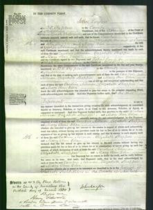 Court of Common Pleas - Caroline Norman, Elizabeth Shoppee, Mary Ann Eden-Original Ancestry