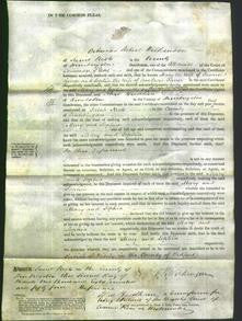 Court of Common Pleas - Mary George and Sophia Farrer-Original Ancestry