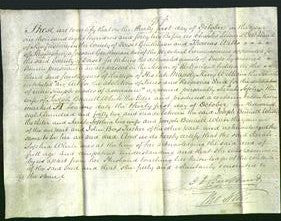 Deed by Married Women - Sarah Sophia White-Original Ancestry