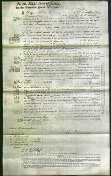 Court of Common Pleas - Temperanor Neale and Mary Ann Fisher