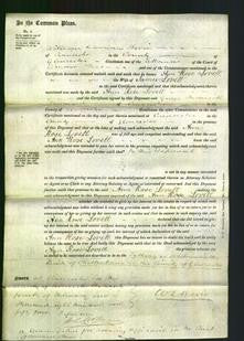 Court of Common Pleas - Ann Rose Lovett-Original Ancestry