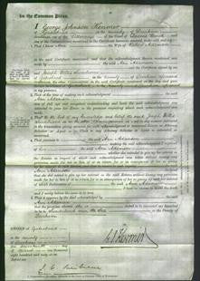 Court of Common Pleas - Ann Adamson-Original Ancestry