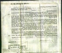 Court of Common Pleas - Ann Wilson-Original Ancestry