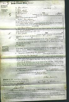 Court of Common Pleas - Mary Jane Partenheimer-Original Ancestry