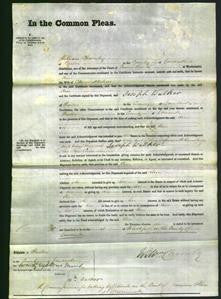 Court of Common Pleas - Ann Kilner-Original Ancestry