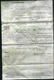 Court of Common Pleas - Mary Boutcher-Original Ancestry
