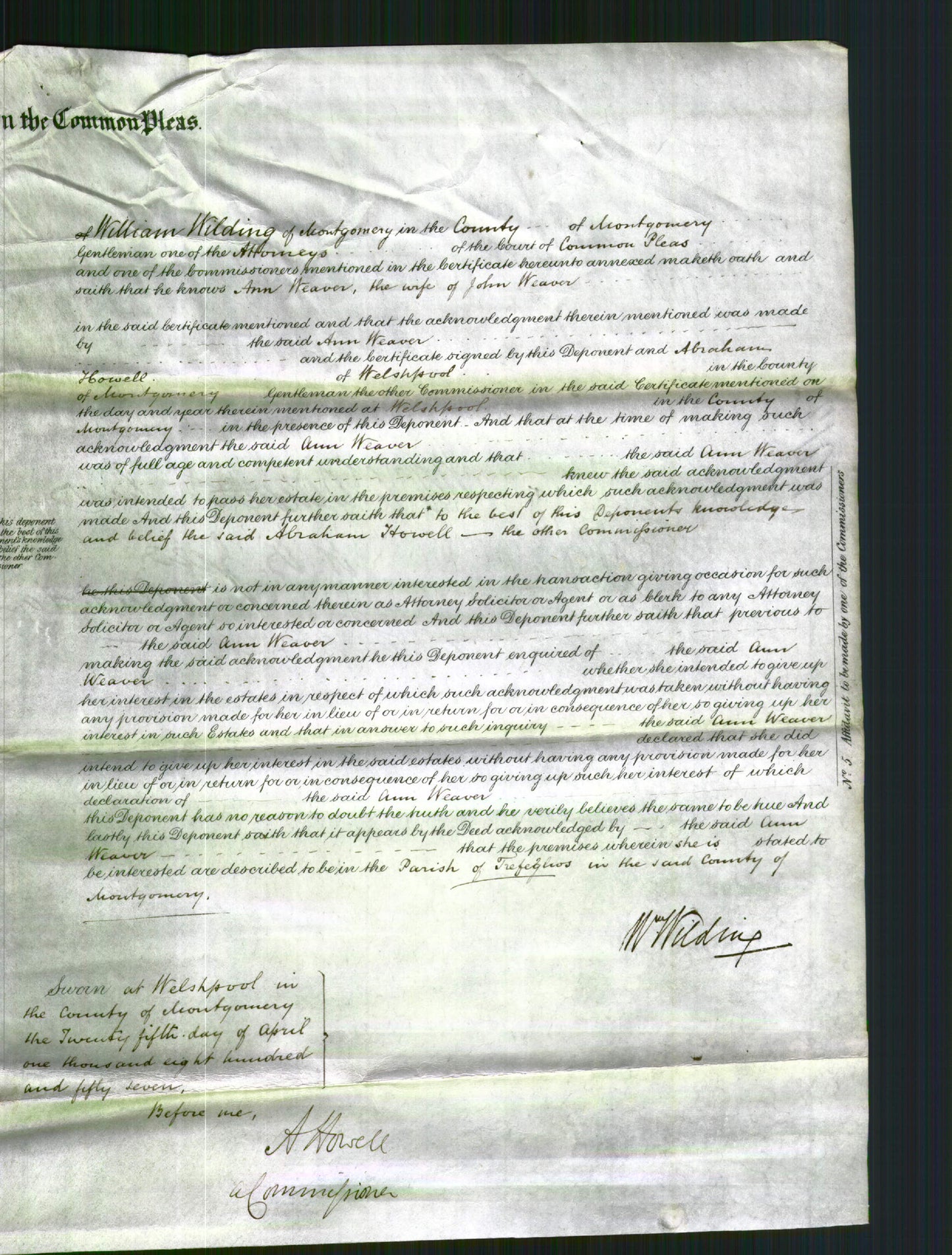 Court of Common Pleas - Ann Weaver-Original Ancestry