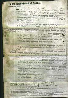 Court of Common Pleas - Ellen Susan Downey-Original Ancestry