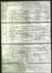 Court of Common Pleas - Martha Williamson-Original Ancestry