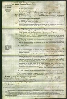 Court of Common Pleas - Caroline Christopherson-Original Ancestry