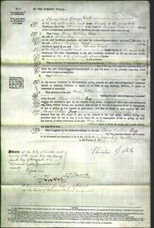 Court of Common Pleas - Mary Bellas Foy-Original Ancestry