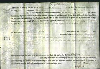 Deed by Married Women - Mary Frossell, Sarah Newberry, Susan Bell and Elizabeth Brooks-Original Ancestry