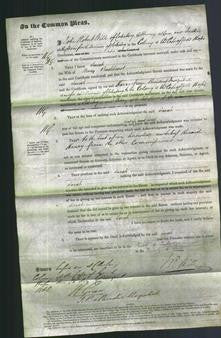 Court of Common Pleas - Sarah Backhurst-Original Ancestry
