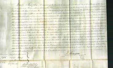Court of Common Pleas - Ann Bower-Original Ancestry