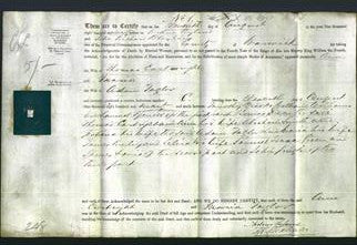 Deed by Married Women - Ann Cartright and Maria Taylor-Original Ancestry