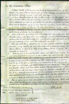 Court of Common Pleas - Henrietta Maria Mudge and Mary Sarah Webb-Original Ancestry