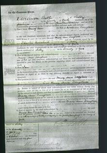 Court of Common Pleas - Mary Ann Douglass-Original Ancestry