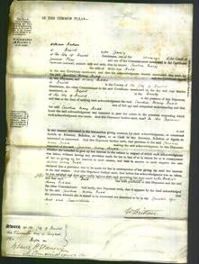 Court of Common Pleas - Caroline Mary Budd-Original Ancestry