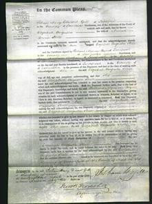 Court of Common Pleas - Elizabeth Augusta Steele-Original Ancestry