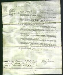 Court of Common Pleas - Sarah Lamburn-Original Ancestry