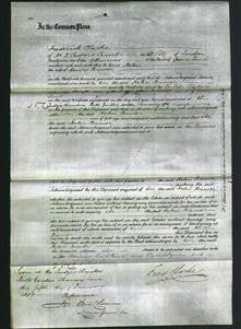 Court of Common Pleas - Helen Brewer-Original Ancestry