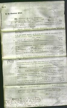 Court of Common Pleas - Caroline Marsden-Original Ancestry