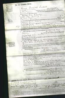 Court of Common Pleas - Ann Bradley and Mary Bradley-Original Ancestry