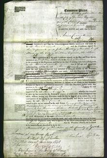 Court of Common Pleas - Anne Carrick-Original Ancestry