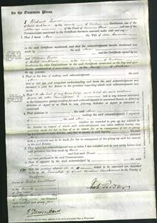 Court of Common Pleas - Ann Bowman-Original Ancestry