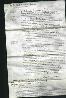 Court of Common Pleas - Ellen Mary Goldsmith-Original Ancestry