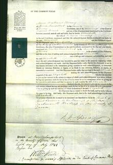 Court of Common Pleas - Elizabeth Cuming-Original Ancestry