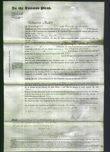 Court of Common Pleas - Eliza Bissell-Original Ancestry